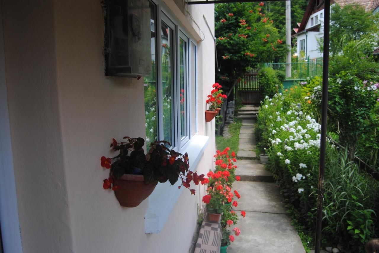 Проживание в семье Casa Kelemen Совата-25