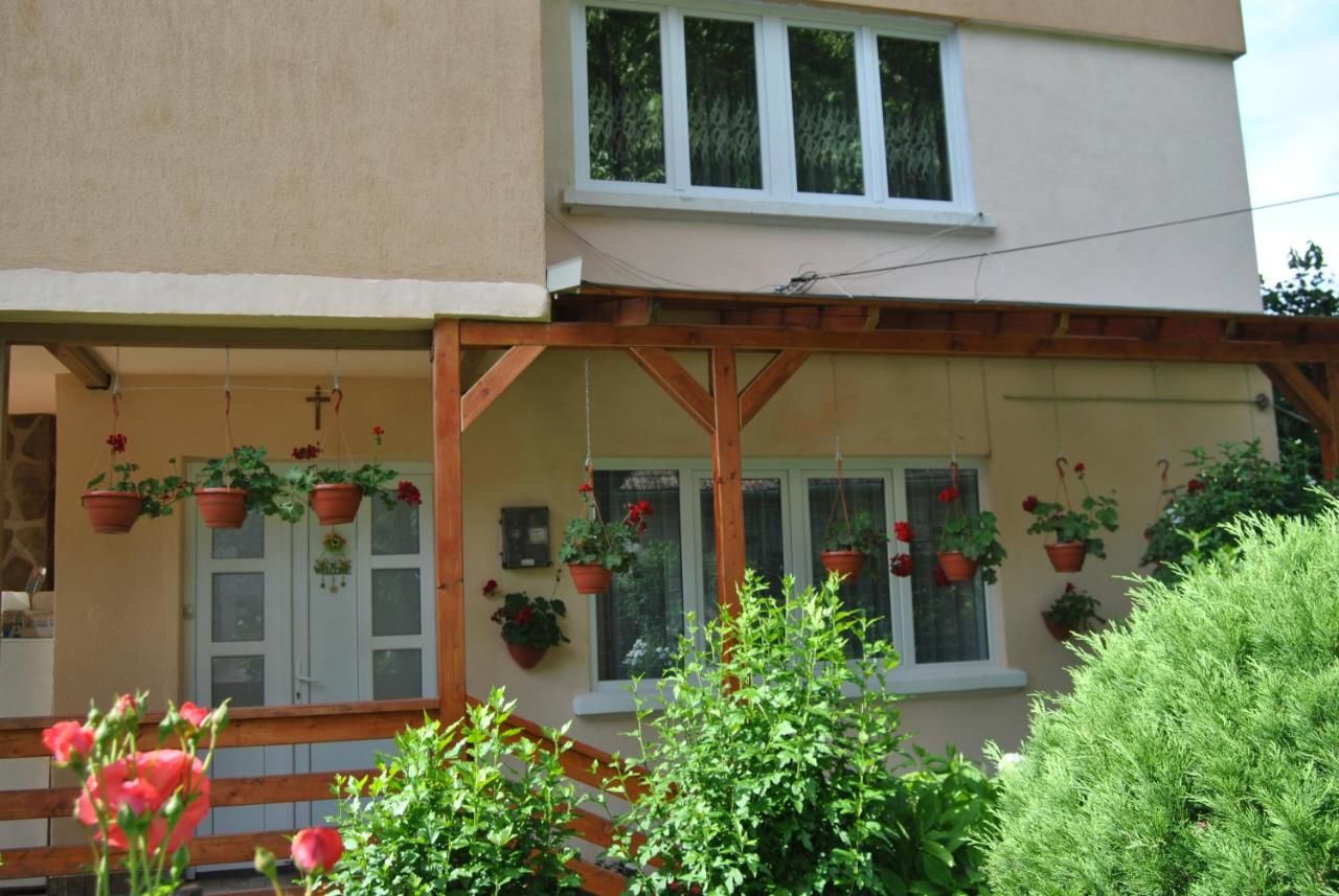Проживание в семье Casa Kelemen Совата-6