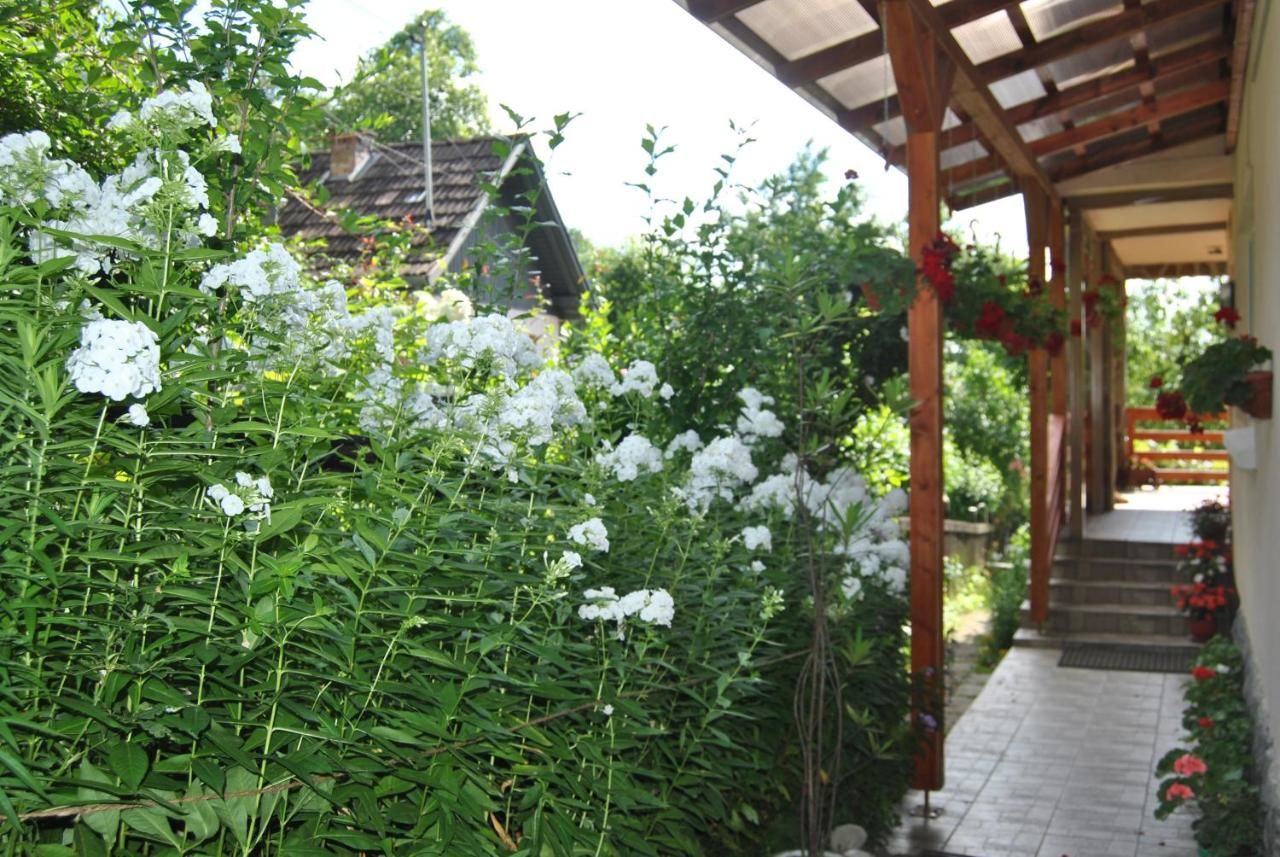 Проживание в семье Casa Kelemen Совата-8