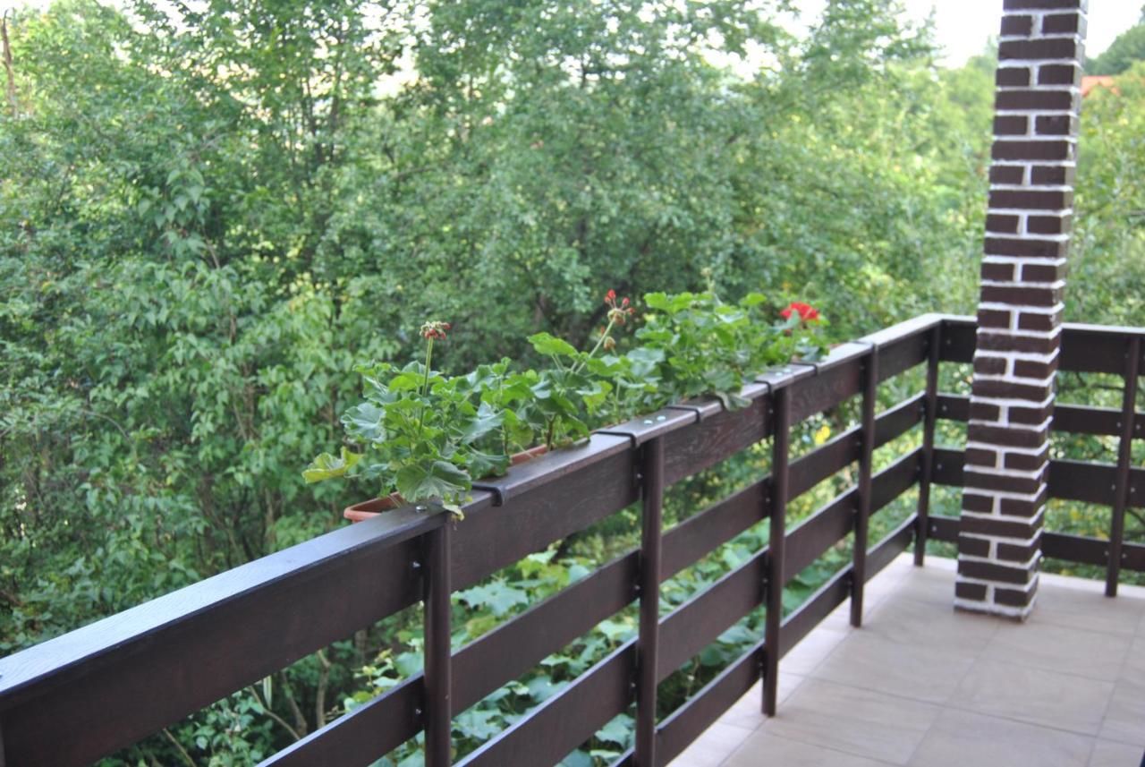 Проживание в семье Casa Kelemen Совата-9