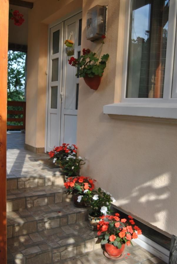 Проживание в семье Casa Kelemen Совата-10