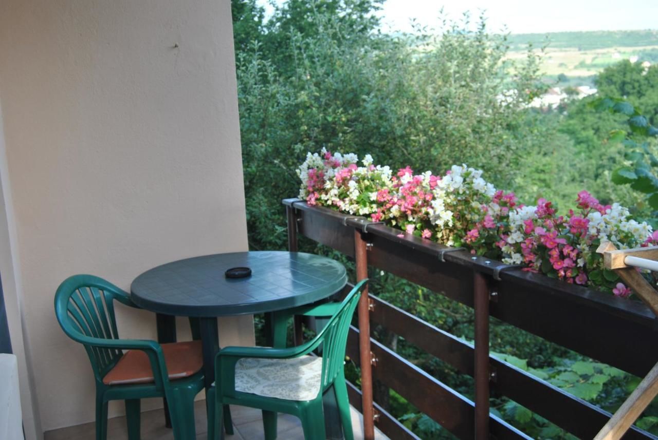 Проживание в семье Casa Kelemen Совата-12